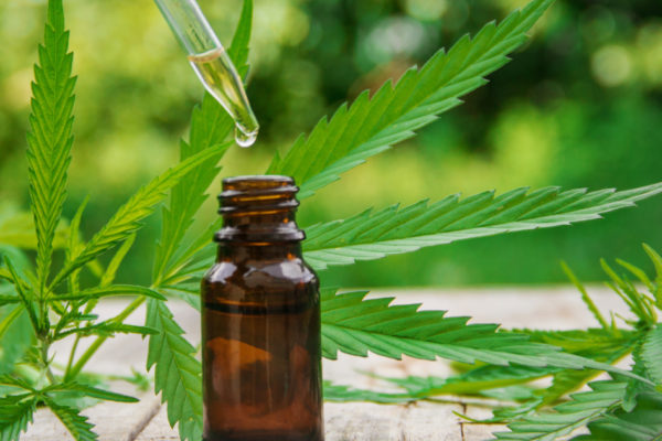 What First-Time Users Should Know About CBD Oils?
